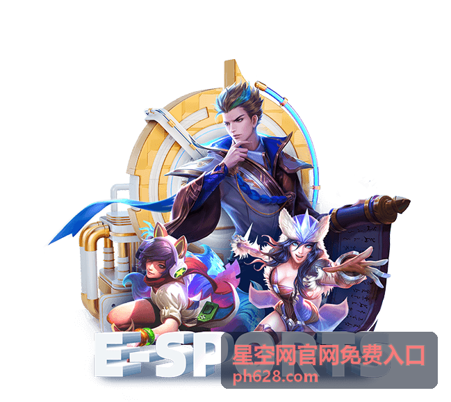 长期使用星空网官网免费入口进行资料归档的场景