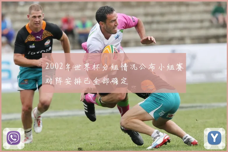 2002年世界杯分组情况公布小组赛对阵安排已全部确定